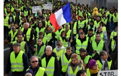 7795704609_des-gilets-jaunes-a-rochefort-le-24-novembre-2018.jpg