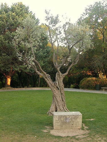 25 mars,frederic mistral,provence,felibrige,les baux,prix nobel,maillane,mireille,calendal,provençal,malraux