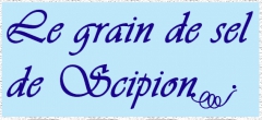 Grain de sel avec bordure.jpg