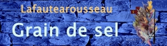 Mur-bleu gds.jpg