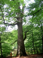 dreux,gens de france