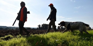 Haute-Loire-un-chasseur-de-17-ans-recoit-13-plombs-dans-la-cuisse.jpg