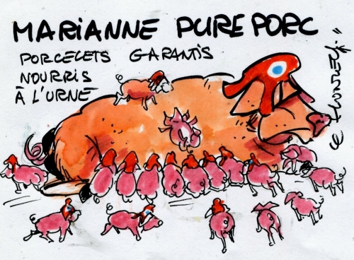 caricature gaspillage collectivites territoriales 1.JPG