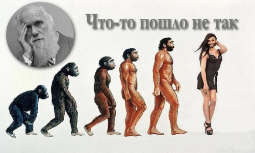 évolution chita.jpg