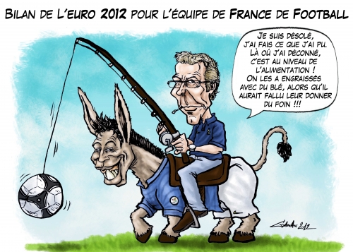 football,sport,ballon rond,laurent blanc,didier deschamps