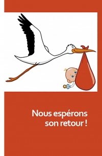 bebe-cigogne.jpg