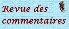 Revue des commentaires - Mosaïque.jpg