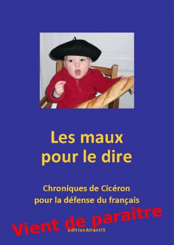 les maux pour le dire.jpg