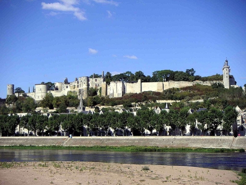 Chinon_vue_de_la_Vienne.jpg