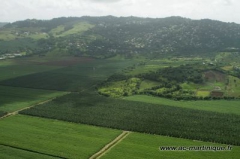 martinique lamentin.jpg