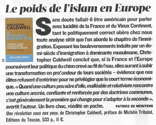 ISLAM EN EUROPE.jpg