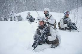 armée chasseurs alpîns.jpg