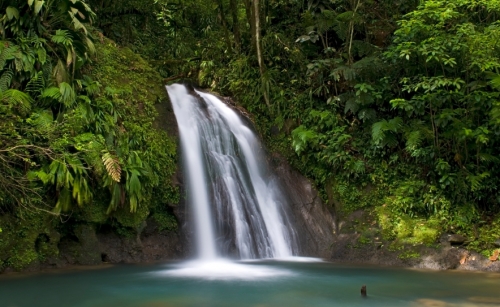 parc national de guadeloupe cascade aux ecrevisses.jpg