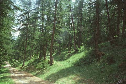 PARC NATIONAL DES ECRINS.jpg