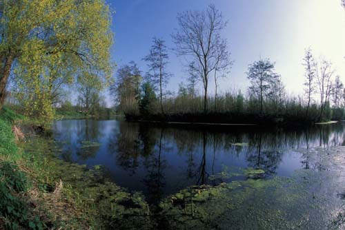 PARC NATUREL SCARPE ESCAUT.jpg