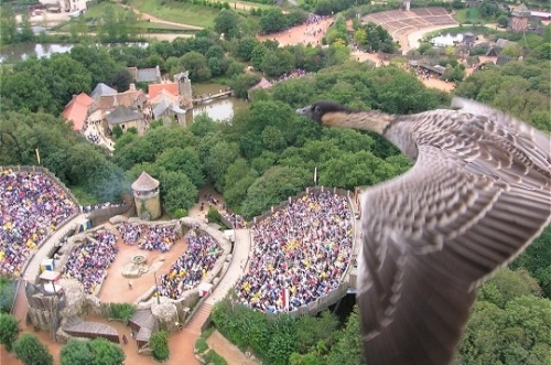 puy-du-fou-vu-ciel-304957.jpg