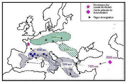 Il y a 5.000 ans : le néolithique...