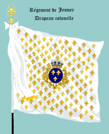 VI : Régiment de Jenner, Drapeau colonel