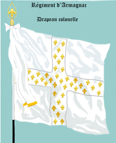 Régiment d'Armagnac, Drapeau colonel