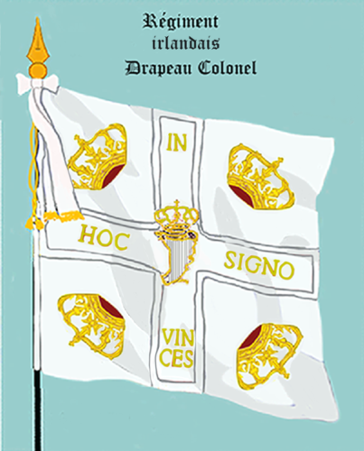 Régiment de Berwick, Drapeau colonel