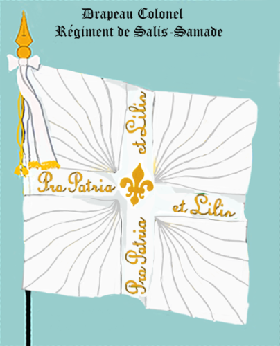 Régiment de Salis Samade, Drapeau colonel