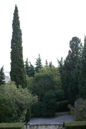 Le "jardin", le "bâtiment carré" et l'enfant (III)