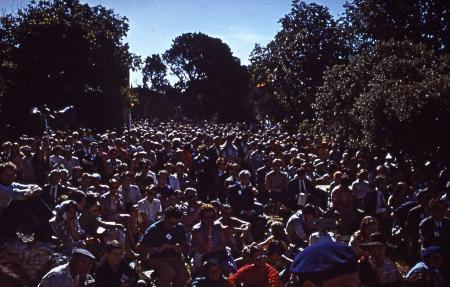 La foule de Montmajour