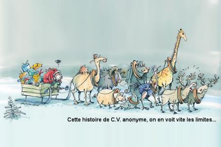 Ah, ces CV anonymes !.....