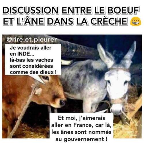 Grande discussion dans la Crèche...