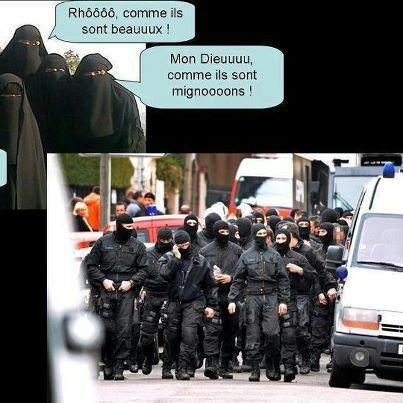 Et elles s'y connaissent !...