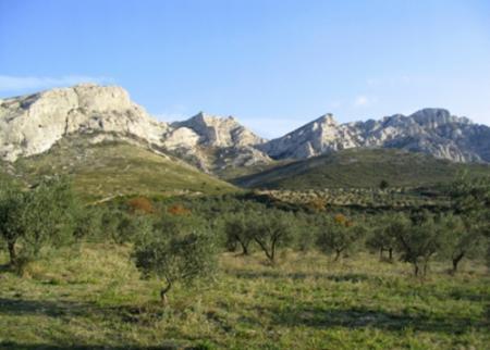 Mistal est mort : "La Provence en deuil"....